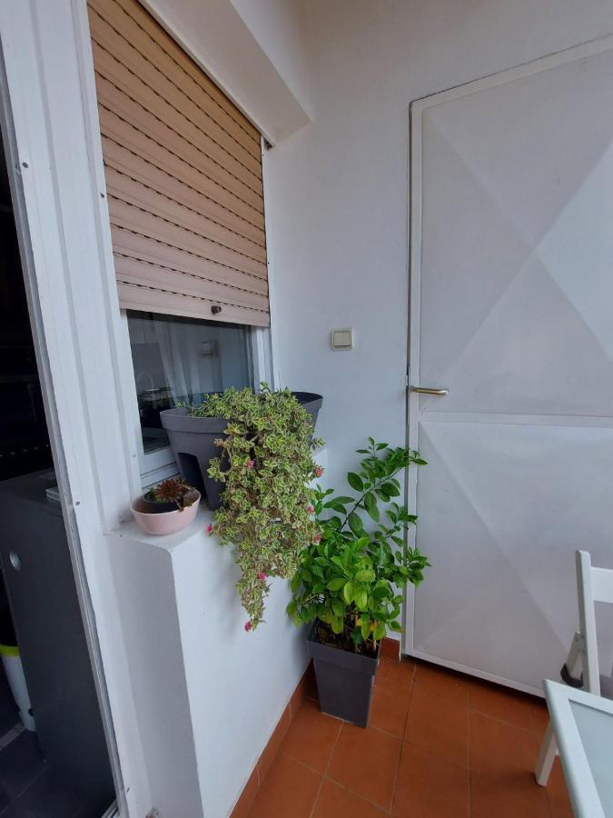 Center Danube Street Apartment 노비사드 외부 사진