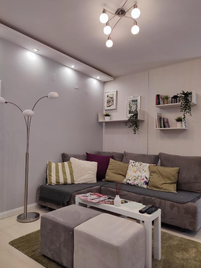 Center Danube Street Apartment 노비사드 외부 사진