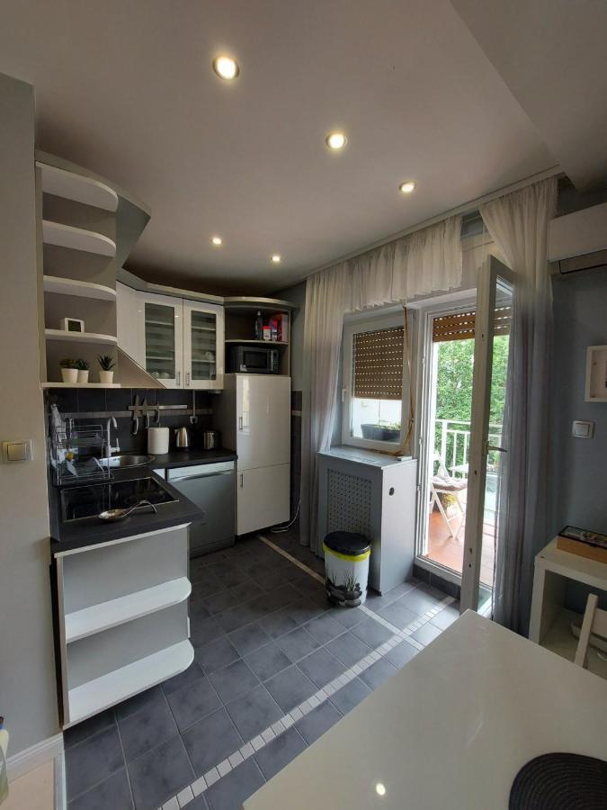 Center Danube Street Apartment 노비사드 외부 사진